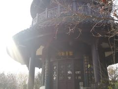 -镇江市南山风景名胜区竹林景区