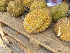 -大连果菜批发市场