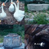 京西探秘2⃣️7⃣️︱唐代古刹灵岳寺