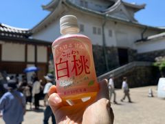-名古屋城