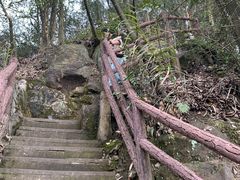 -缙云山景区