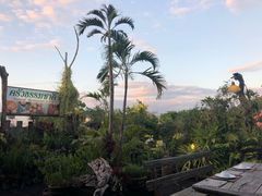 -自然餐厅(Phuket)