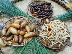 -昆虫窝子·特色云南菜(拓东路总店)