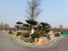 -水西公园