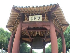 -中山大学学者灵芝(园南路店)