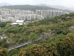 -金鸡山公园
