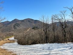 -杭州半山国家森林公园
