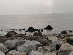 -野狸岛