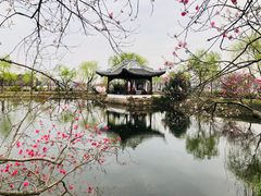 -无锡蠡湖国家湿地公园-蠡园