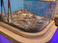 水产区-乔哥铭洋海鲜自助(皇城恒隆广场店)