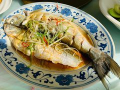 清蒸白水鱼-状元楼(金溪路店)