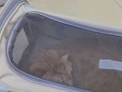 -宠福鑫动物医院(立水桥分院)
