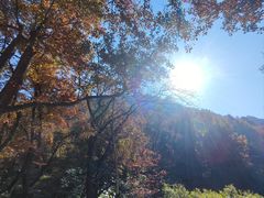 -广州市石门国家森林公园