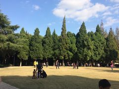 -瀛洲公园