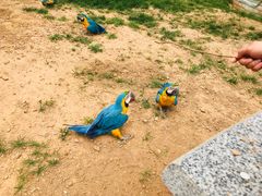 -石家庄市动物园