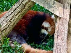 -水上乐园·欢乐世界