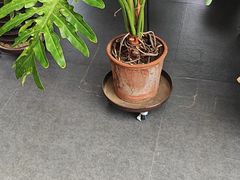 -辽宁古生物博物馆