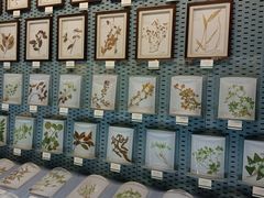 -浙江自然博物院(杭州馆)