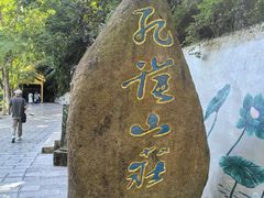 -西双版纳原始森林公园