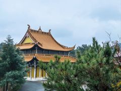 -游子山休闲旅游区