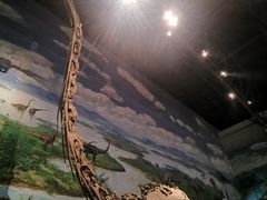 -自贡恐龙博物馆