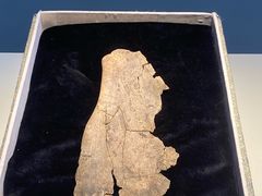 -安阳博物馆