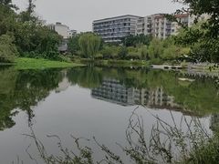 -北湖公园