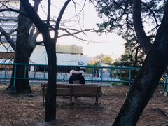 -名古屋城