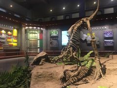 -自贡恐龙博物馆