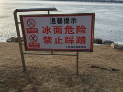 -丁香湖公园