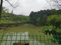 -铁山坪森林公园