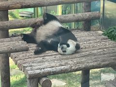 -大连森林动物园