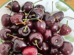 -东方鼎信农副产品交易中心