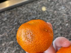 -皇城老妈·大连海鲜火锅(港湾店)