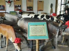 android_upload_pic-横沥牛庄(总店)