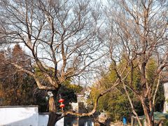 -丝绸小镇荻港古村