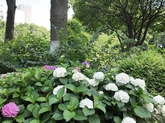 -常州古运河南大街文化旅游区-人民公园