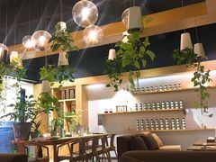 -柴务处·柴犬主题狗咖