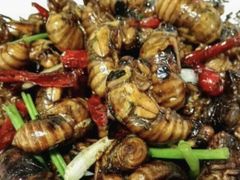 炒知了-永刚烧烤(大夜市店)