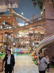 -卡通尼·Safari非洲探索乐园·生日会(金桥国际商业广场店)