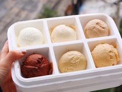 -Dip in Gelato(富民路店)
