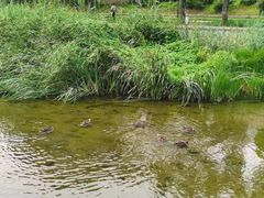 -元大都城垣遗址公园