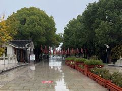 -溱湖国家湿地公园