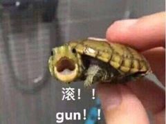 -奈雪的茶(印象城店)