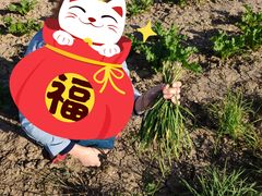 -万源龙顺度假庄园生态观光园