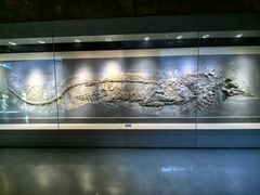 -安徽省地质博物馆