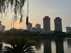 -文瀛公园