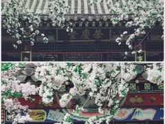 -荣国府