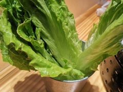 生菜-么肆烤肉·中式自助·烤肉大排档(街道口季佳PAI店)