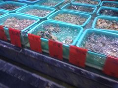 -渔傅·蓝海岸霞浦海鲜(正祥店)
